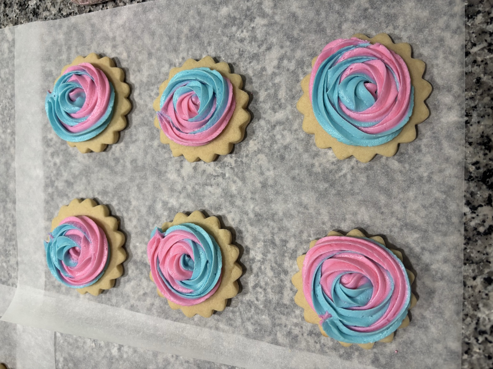 Gender Reveal Cookies
